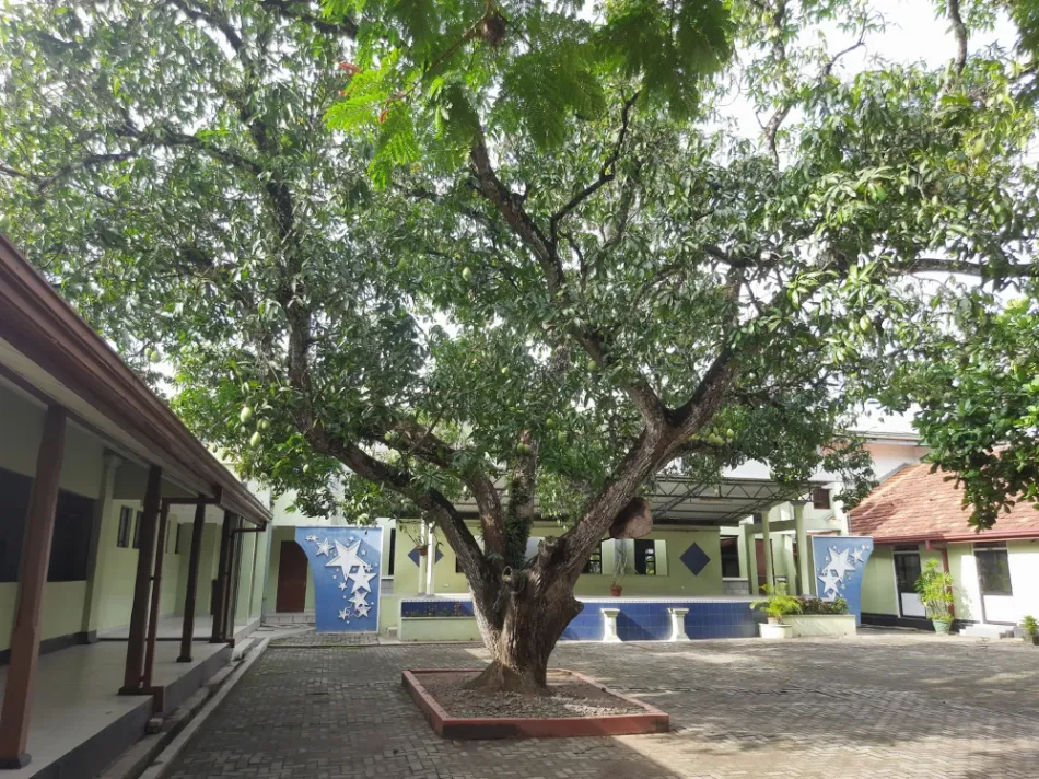 Image 1